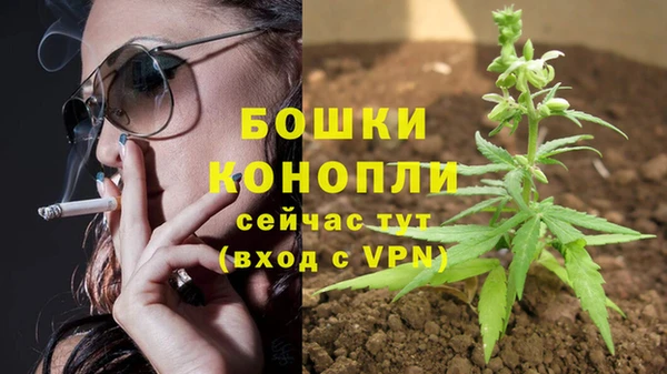MDMA Лиски
