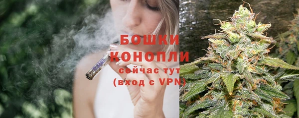 2c-b Липки