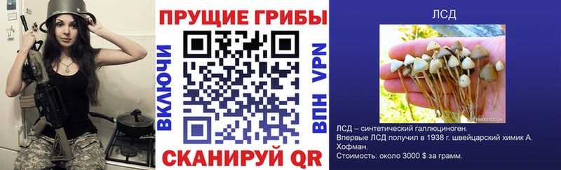 Купить где  Малая Вишера  Галлюциногенные грибы GOLDEN TEACHER 